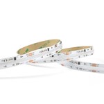 Color Changing Digital Addressable COB LED Strips